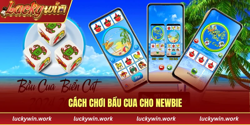 Cách chơi bầu cua cho newbie